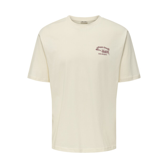 Only & Sons Onsalfresco rlx ss tee 22035545 large