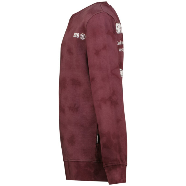 Raizzed Nalaric aubergine 3209.54.0002 large