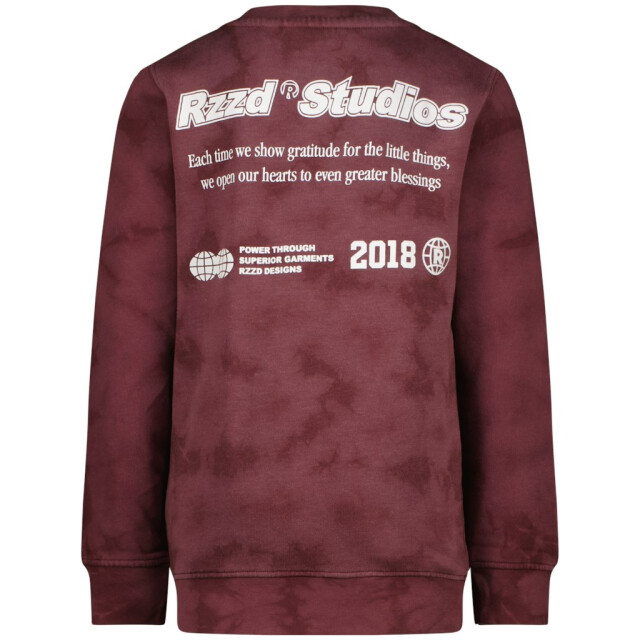 Raizzed Nalaric aubergine 3209.54.0002 large
