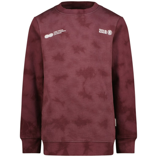 Raizzed Nalaric aubergine 3209.54.0002 large