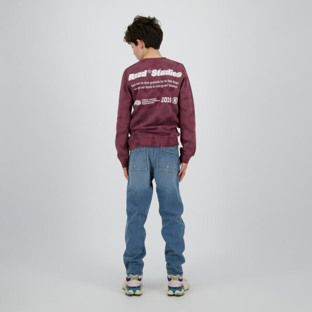 Raizzed Nalaric aubergine 3209.54.0002 large