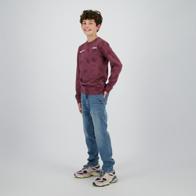 Raizzed Nalaric aubergine 3209.54.0002 large