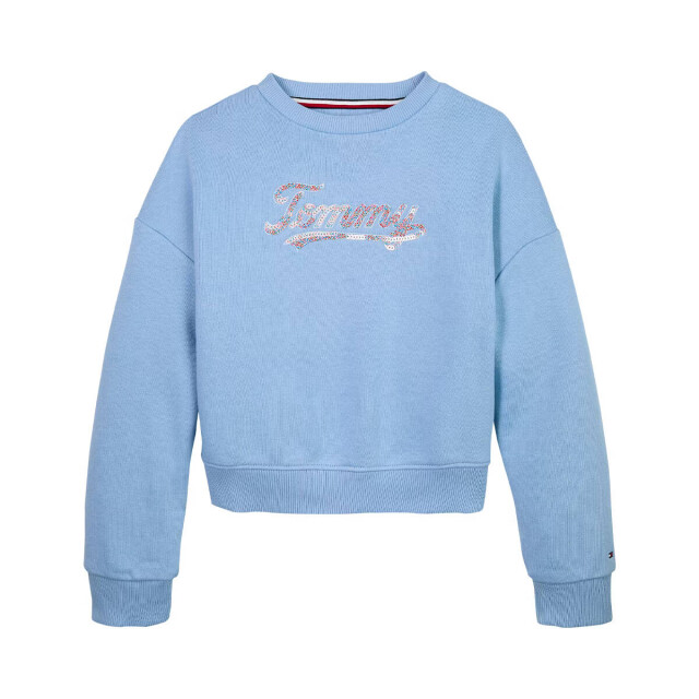 Tommy Hilfiger Sweat kg0kg08686 Tommy Hilfiger Sweat KG0KG08686 large
