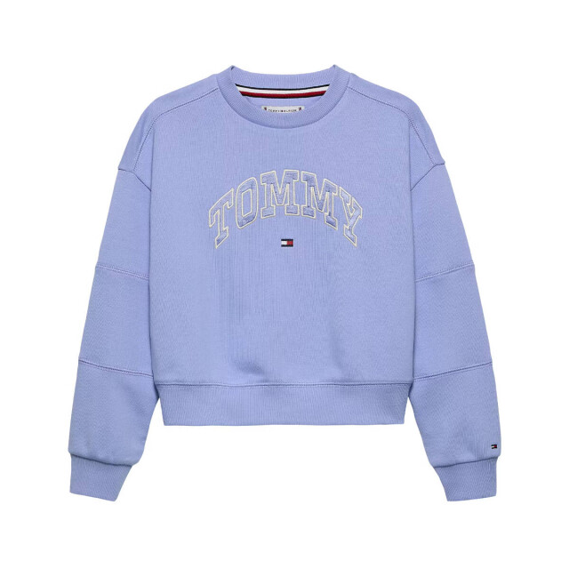 Tommy Hilfiger Sweat kg0kg08785 Tommy Hilfiger Sweat KG0KG08785 large