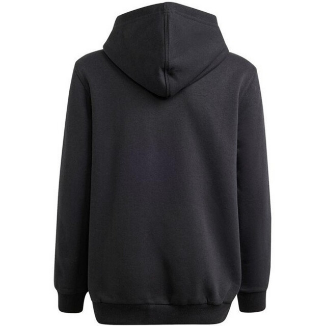 Adidas Kinder/kids allszn gfx hd hoodie UTPP5783_black large