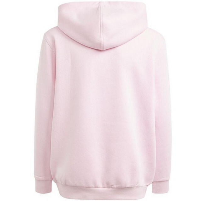 Adidas Kinder/kids allszn gfx hd hoodie UTPP5783_pink large