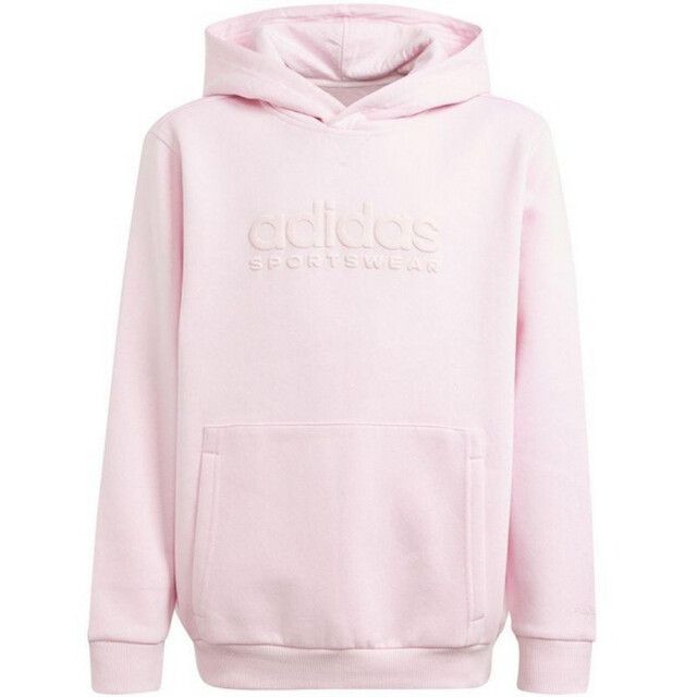 Adidas Kinder/kids allszn gfx hd hoodie UTPP5783_pink large