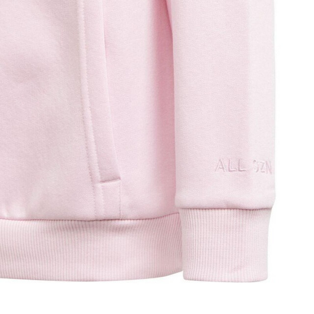 Adidas Kinder/kids allszn gfx hd hoodie UTPP5783_pink large