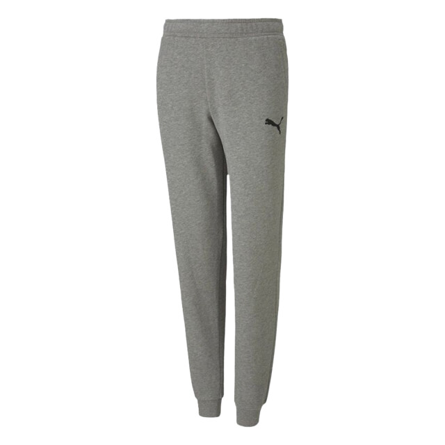 Puma Kinder/kids teamgoal joggingbroek UTPP3738_grey large
