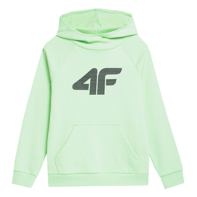 4F Uniseks adult jss23tswsm220 sweatshirt UTPP1833_green large