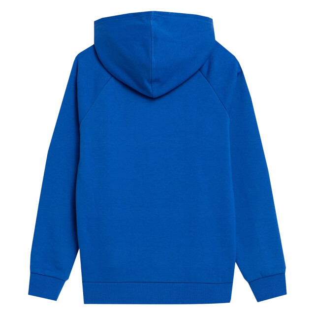 4F Uniseks adult jss23tswsm220 sweatshirt UTPP1833_blue large
