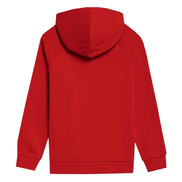 4F Uniseks adult jss23tswsm220 sweatshirt UTPP1833_red large