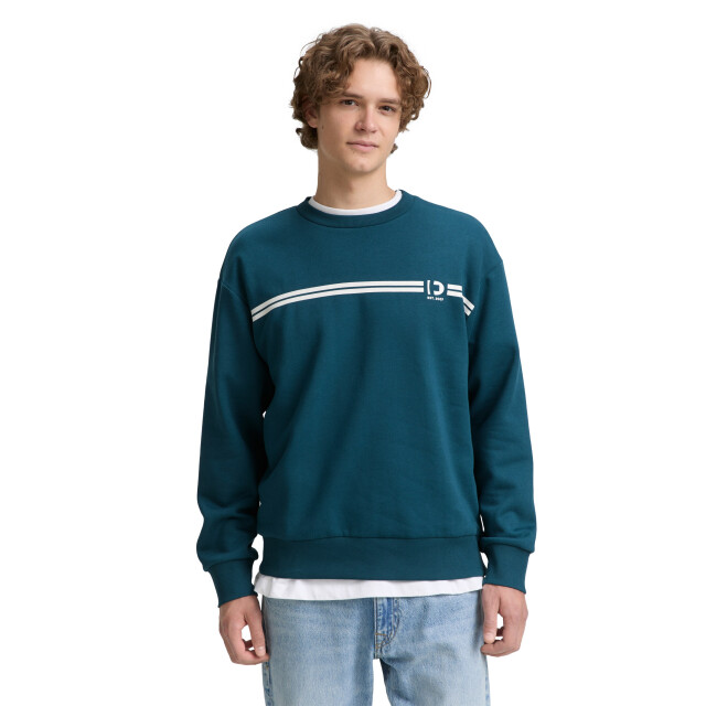 Tom Tailor Printed crewneck sweater 1047941 large