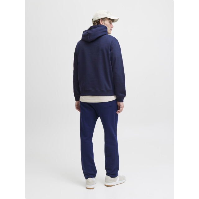 Jack & Jones Jornorrebro emb sweat hood noos 12282861 large