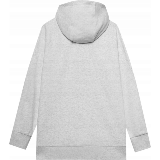 4F Dames f0955 pullover hoodie UTPP159_greysilver large
