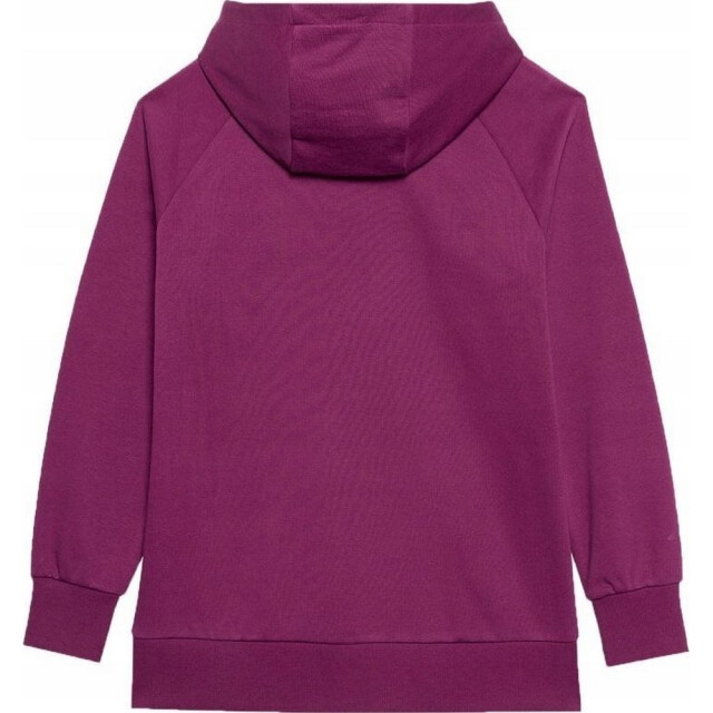 4F Dames f0955 pullover hoodie UTPP159_violet large