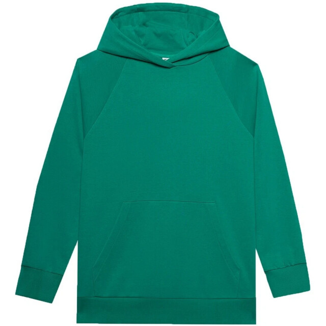 4F Dames f0955 pullover hoodie UTPP159_green large