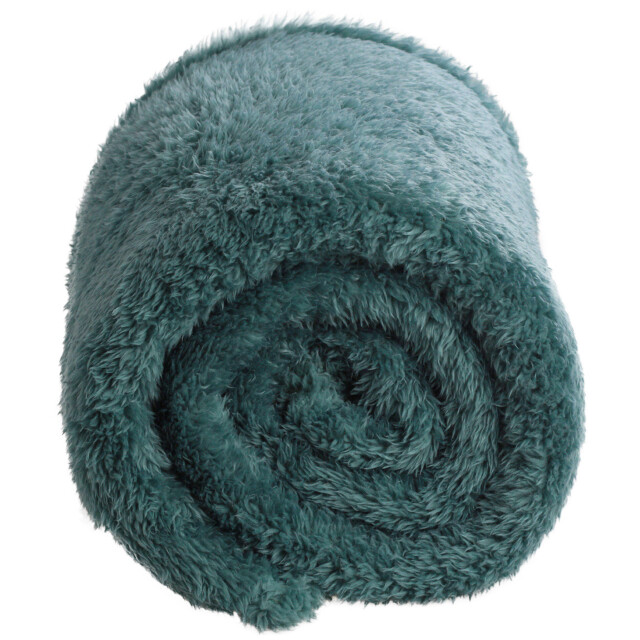 DoubleDry Teddy fleece deken ultrazacht 130x170 groen 2825972 large