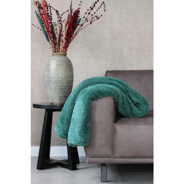 DoubleDry Teddy fleece deken ultrazacht 130x170 groen 2825972 large