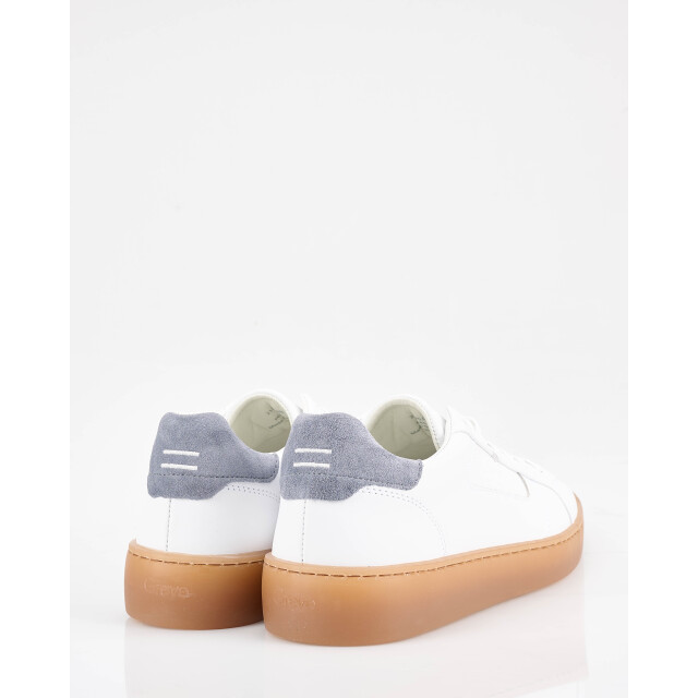 Greve Wave sneakers 099542-001-43 large