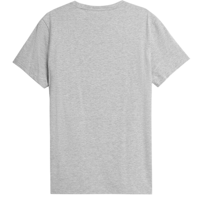 4F Heren h4z22-tsm352 23m effen normaal t-shirt UTPP1766_grey large