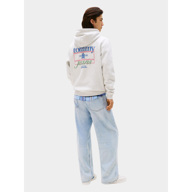 Tommy Hilfiger Sweater tjm reg washed crest play hoo dm0dm22085/p09 199193 large