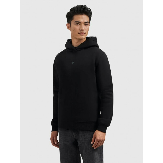 Pure Path 25030302 02 heren sweater regular fit hoodie p 02/25030302 large