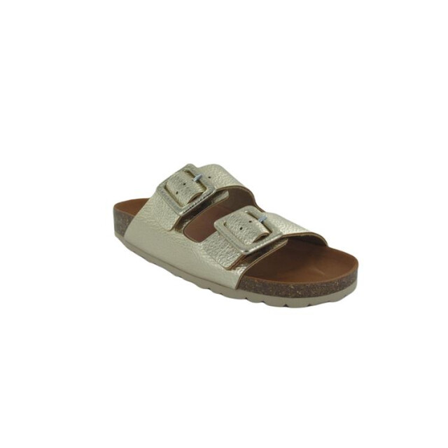 Verbenas Randell Randell large