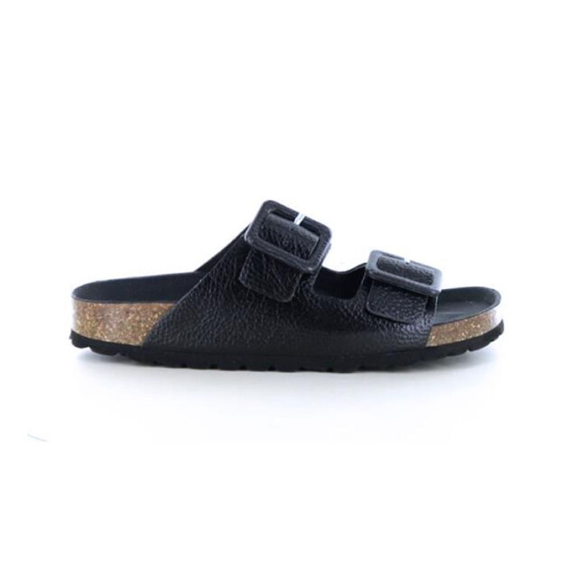 Verbenas Randell Randell large