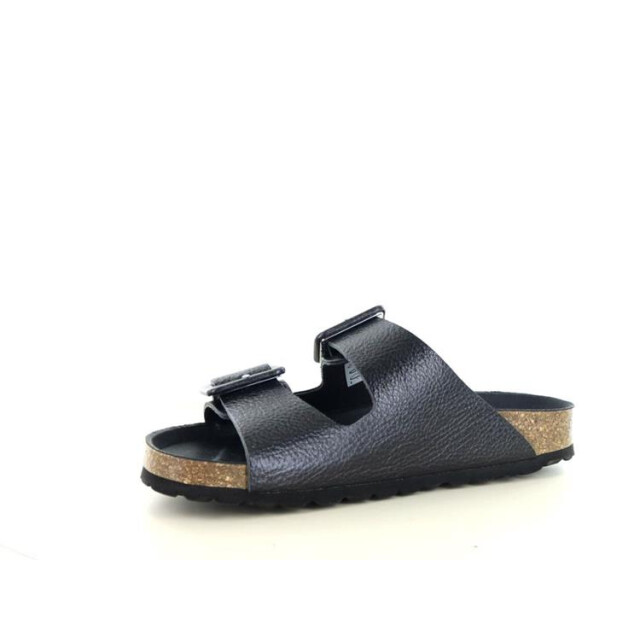 Verbenas Randell Randell large