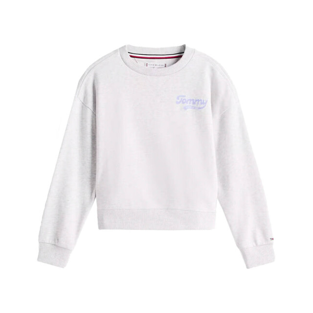 Tommy Hilfiger Sweat kg0kg08779 Tommy Hilfiger Sweat KG0KG08779 large