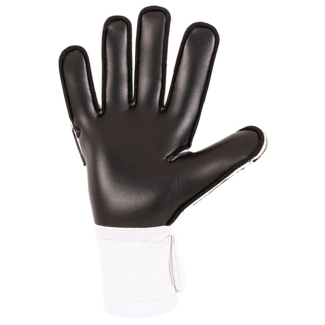 Stanno volare match iii goalkeeper keepershandschoen heren - 071403_999-10 large