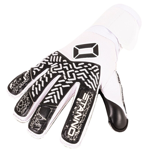 Stanno volare match iii goalkeeper keepershandschoen heren - 071403_999-10 large