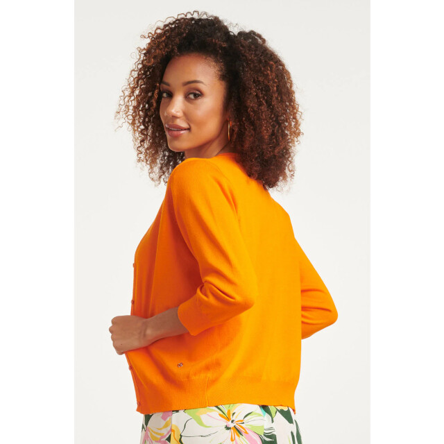Smashed Lemon 24119 zacht zomer vest | 24119-250-L large