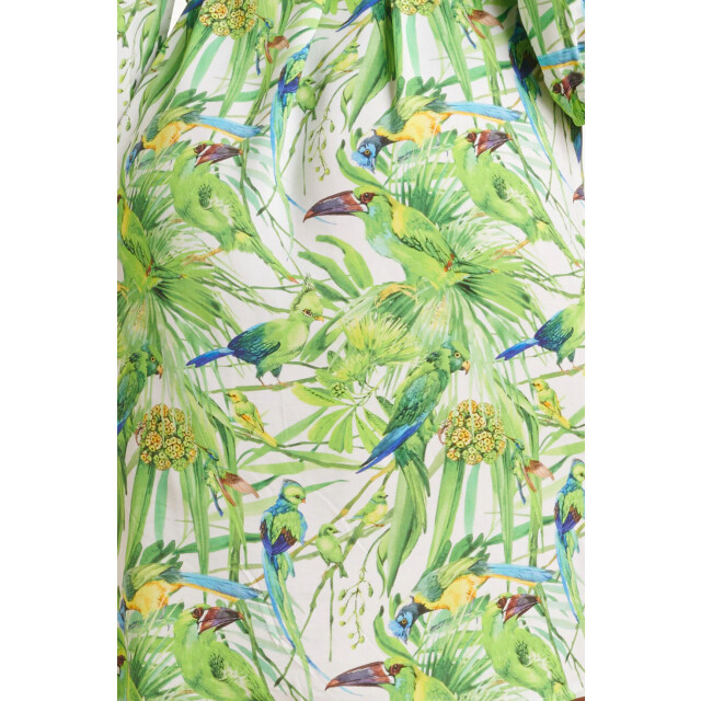Smashed Lemon 24058 bird print jurk met v-hals | 24058-000-500 large