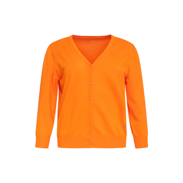 Smashed Lemon 24119 zacht zomer vest | 24119-250-L large