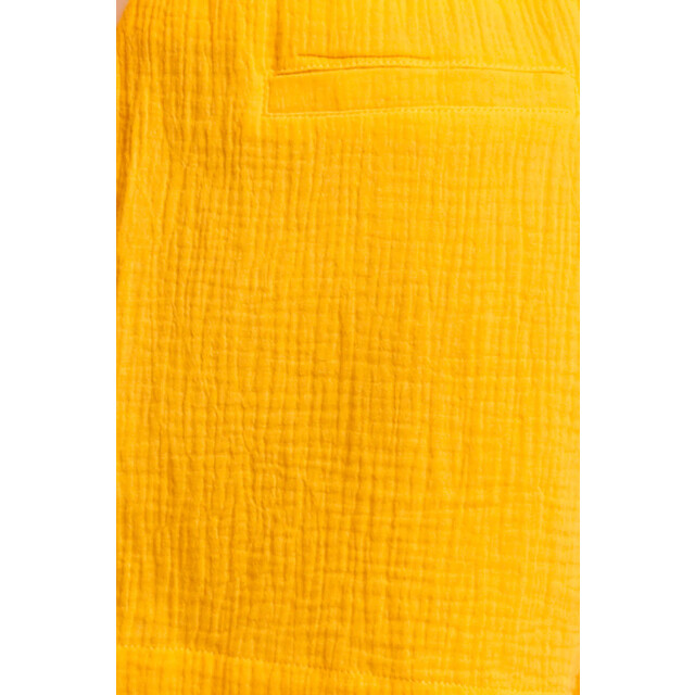 Smashed Lemon 24090 zomer shortswarm zonnig tetra | 24090-150-XS large