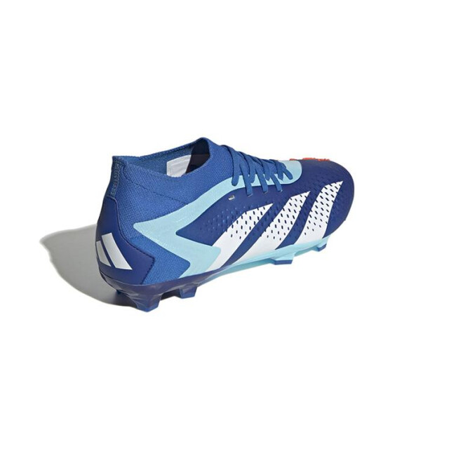 Adidas Predator accuracy.2 fg,broyal/ GZ0027 large