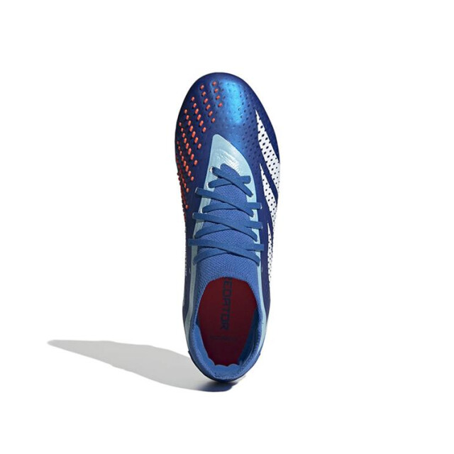Adidas Predator accuracy.2 fg,broyal/ GZ0027 large