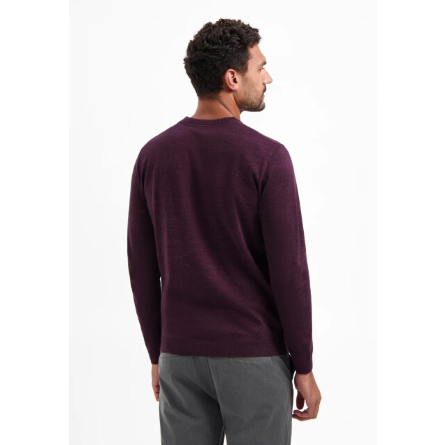 No Excess Heren trui 29210880sn 164 dark wine NoExcess Trui 29210880SN 164DarkWine large