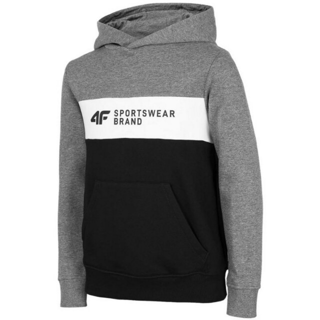 4F Kinderen/kinderen hjz22 jblm003 hoodie UTPP1689_blackmediumgreymelange large