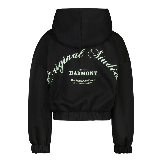 Cars Kids esmea sw hood black - 2209.80.0002 large