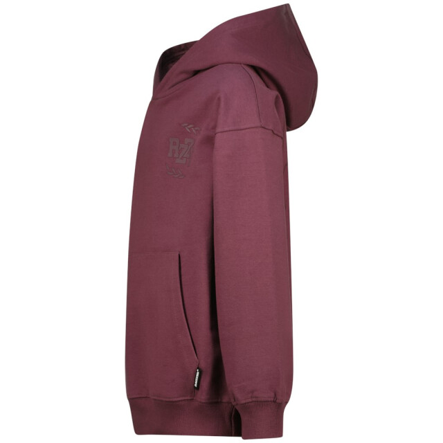 Raizzed Nai aubergine 3209.54.0001 large