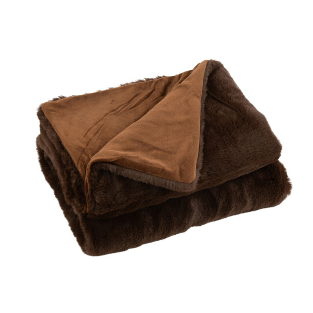 J-Line Plaid cutie polyester dark brown 76876 large