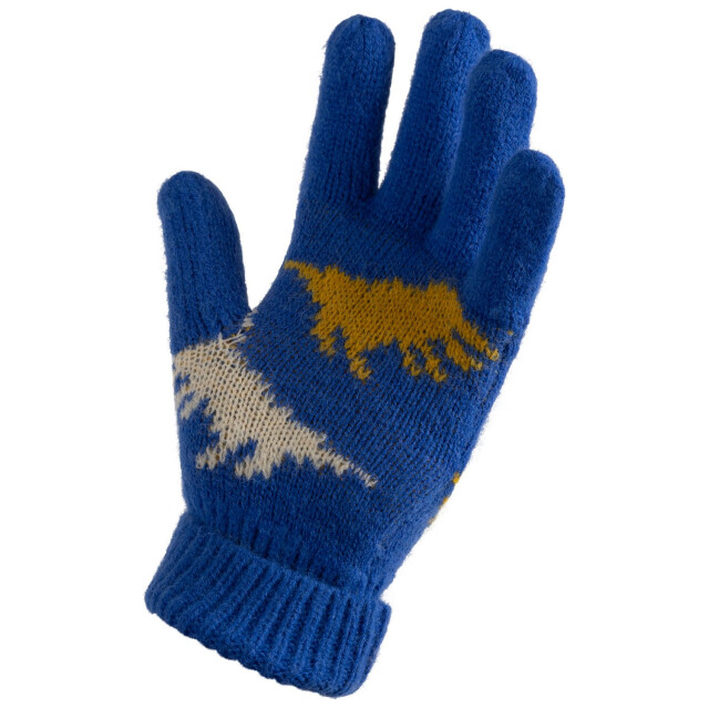 Trespass Kinder/kids casper handschoenen UTTP6697_blue large