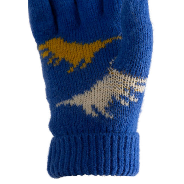 Trespass Kinder/kids casper handschoenen UTTP6697_blue large
