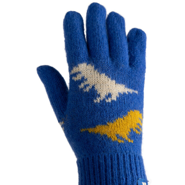 Trespass Kinder/kids casper handschoenen UTTP6697_blue large