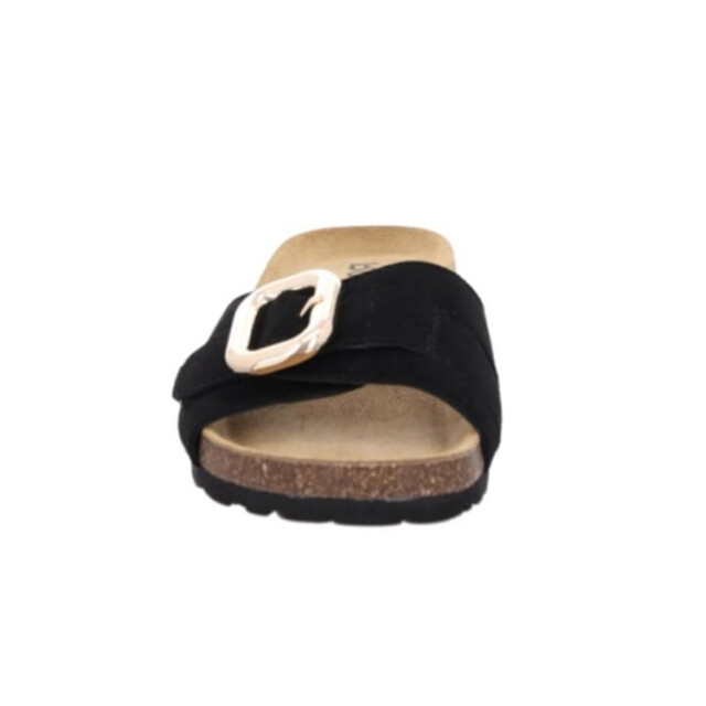 Rohde 1761 1761 large