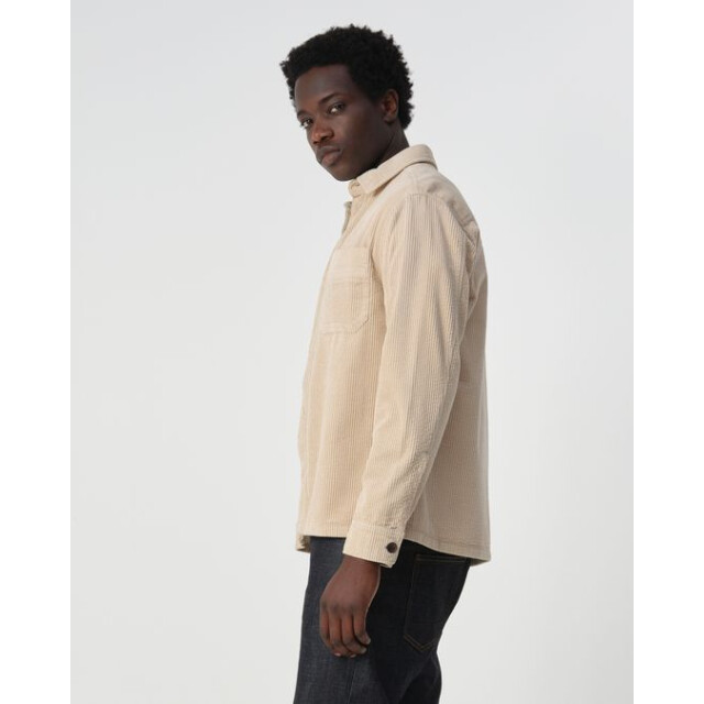 J.C. Rags ace cord 099117 8042 plaza 05633.765.0003 large