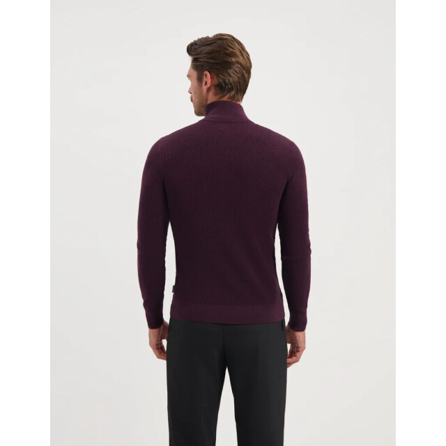 Saint Steve 240906 dominic 80012 plum melange 05711.770.0025 large